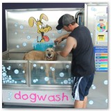 Dog Wash machine