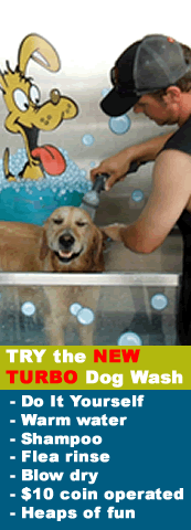 New DIY Turbo Dog Wash